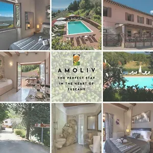 amoliv.it-tuscanyhotel.com/
